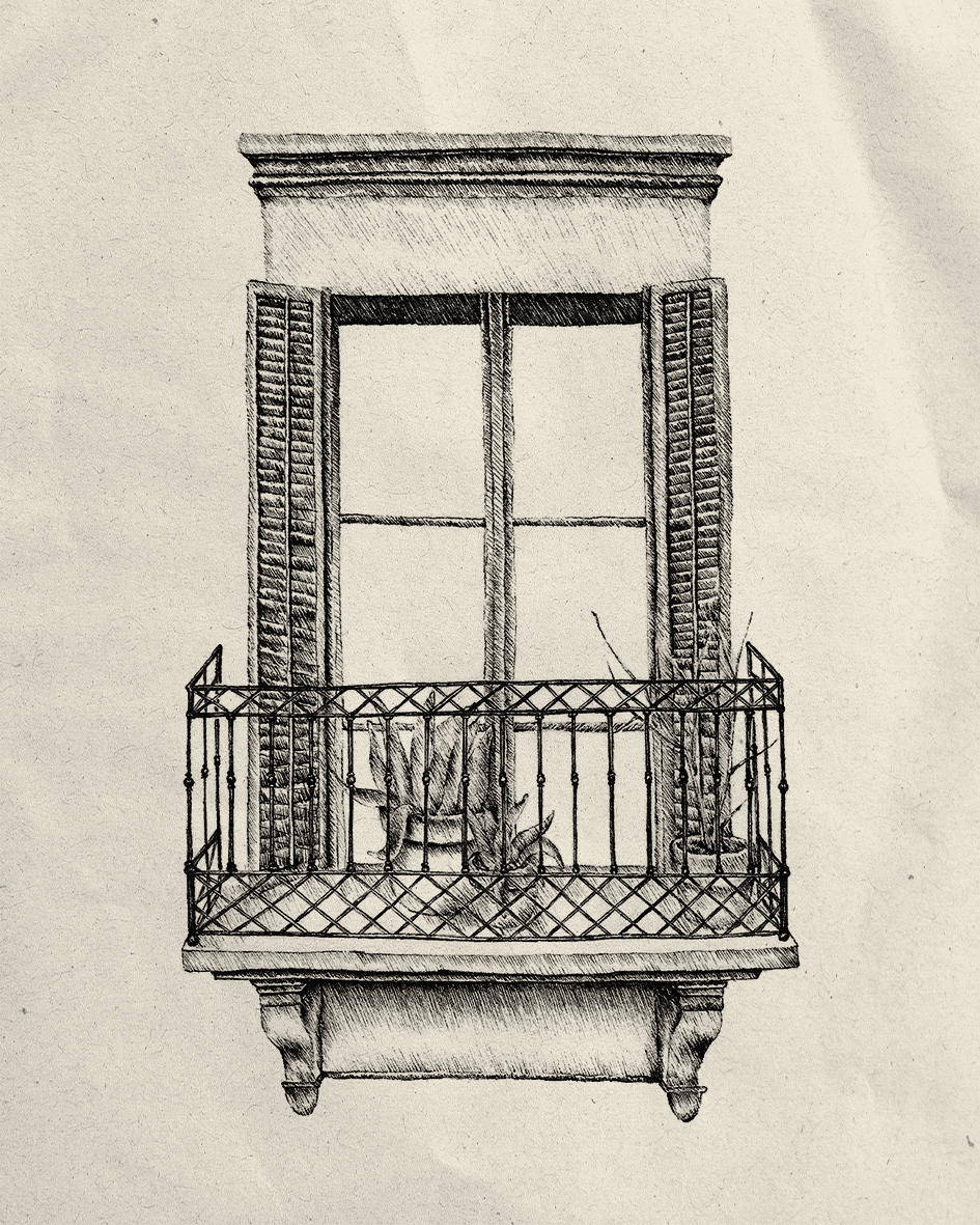 Projekt 5